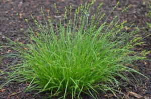 Image �2023 Mt. Cuba Center