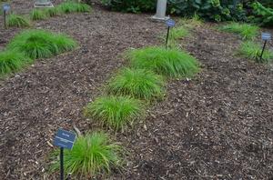 Image �2023 Mt. Cuba Center