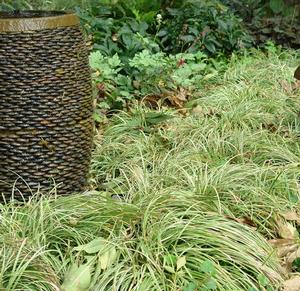 In the autumn landscape