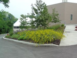 Photo courtesy of The Cincinnati Zoo and Botanical Garden